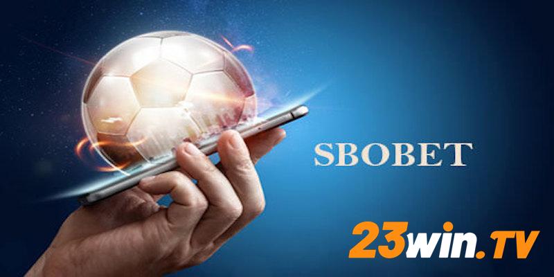 Mẹo chơi hiệu quả tại Sbobet Sport 23Win